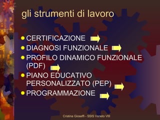 gli strumenti di lavoro  CERTIFICAZIONE DIAGNOSI FUNZIONALE PROFILO DINAMICO FUNZIONALE (PDF) PIANO EDUCATIVO PERSONALIZZATO (PEP) PROGRAMMAZIONE 