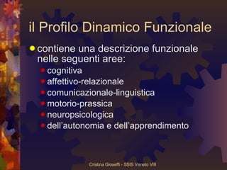 il Profilo Dinamico Funzionale contiene una descrizione funzionale nelle seguenti aree: cognitiva affettivo-relazionale comunicazionale-linguistica motorio-prassica neuropsicologica dell’autonomia e dell’apprendimento 