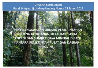 12
URUSAN KEHUTANAN
Pasal 14 Ayat (1) Undang-Undang Nomor 23 Tahun 2014
PENYELENGGARAAN URUSAN PEMERINTAHAN
BIDANG KEHUTANAN, KELAUTAN, SERTA
ENERGI DAN SUMBER DAYA MINERAL DIBAGI
ANTARA PEMERINTAH PUSAT DAN DAERAH
PROVINSI.
 