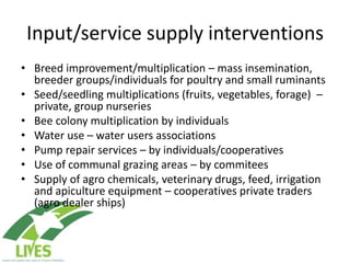 Draft LIVES project implementation plan
