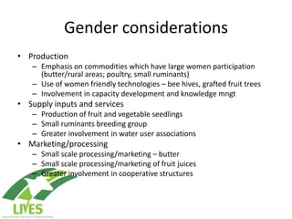 Draft LIVES project implementation plan