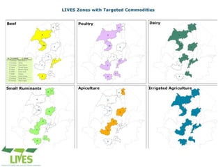Draft LIVES project implementation plan