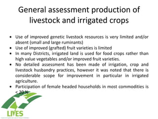 Draft LIVES project implementation plan