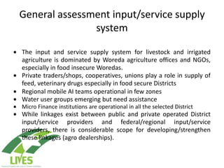 Draft LIVES project implementation plan