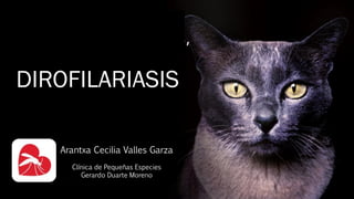 DIROFILARIASIS 
ñ 
Arantxa Cecilia Valles Garza 
Clínica de Pequeñas Especies 
Gerardo Duarte Moreno  