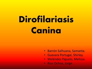 Dirofilariasis
Canina
• Barrón Salhuana, Samanta.
• Guevara Portugal, Shirley.
• Meléndez Pajuelo, Melissa.
• Rios Ochoa, Jorge .
 