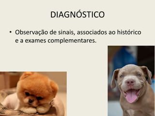 DIAGNÓSTICO
• Observação de sinais, associados ao histórico
e a exames complementares.
 