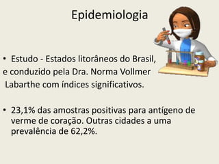 Epidemiologia
• Estudo - Estados litorâneos do Brasil,
e conduzido pela Dra. Norma Vollmer
Labarthe com índices significativos.
• 23,1% das amostras positivas para antígeno de
verme de coração. Outras cidades a uma
prevalência de 62,2%.
 