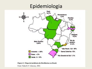 Epidemiologia
 