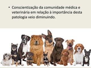 • Conscientização da comunidade médica e
veterinária em relação à importância desta
patologia veio diminuindo.
 