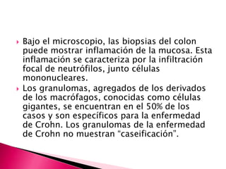    Bajo el microscopio, las biopsias del colon
    puede mostrar inflamación de la mucosa. Esta
    inflamación se caracteriza por la infiltración
    focal de neutrófilos, junto células
    mononucleares.
   Los granulomas, agregados de los derivados
    de los macrófagos, conocidas como células
    gigantes, se encuentran en el 50% de los
    casos y son específicos para la enfermedad
    de Crohn. Los granulomas de la enfermedad
    de Crohn no muestran “caseificación”.
 