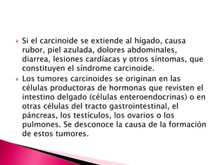    Si el carcinoide se extiende al hígado, causa
    rubor, piel azulada, dolores abdominales,
    diarrea, lesiones cardíacas y otros síntomas, que
    constituyen el síndrome carcinoide.
   Los tumores carcinoides se originan en las
    células productoras de hormonas que revisten el
    intestino delgado (células enteroendocrinas) o en
    otras células del tracto gastrointestinal, el
    páncreas, los testículos, los ovarios o los
    pulmones. Se desconoce la causa de la formación
    de estos tumores.
 