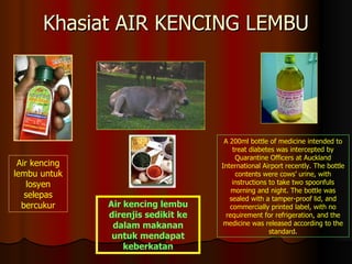Khasiat AIR KENCING LEMBU A 200ml bottle of medicine intended to treat diabetes was intercepted by Quarantine Officers at ...