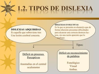 DISLEXIAS ADQUIRIDAS
Es aquella que sobreviene tras
Una lesión cerebral concreta.
DISLEXIAS EVOLUTIVAS
Es la que se presenta en alumn@s que de
forma inherente presentan dificultades
para alcanzar una correcta destreza lec-
tora, sin una razón aparente que lo
explique.
Déficit en procesos
Perceptivos
Anomalías en el central
oculomotor
Déficit en reconocimiento
de palabras
Fonológico
Visual
Ambas.
Tipos: