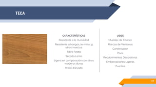 TECA
17
CARACTERÍSTICAS
Resistente a la Humedad
Resistente a hongos, termitas y
otros insectos
Fibra Recta
Secado Lento
Ligera en comparación con otras
maderas duras
Precio Elevado
USOS
Muebles de Exterior
Marcos de Ventanas
Construcción
Pisos
Recubrimientos Decorativos
Embarcaciones Ligeras
Puentes
 