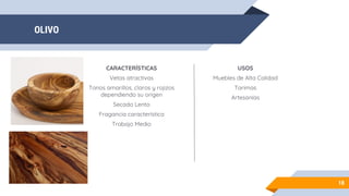 OLIVO
18
CARACTERÍSTICAS
Vetas atractivas
Tonos amarillos, claros y rojizos
dependiendo su origen
Secado Lento
Fragancia característica
Trabajo Medio
USOS
Muebles de Alta Calidad
Tarimas
Artesanías
 