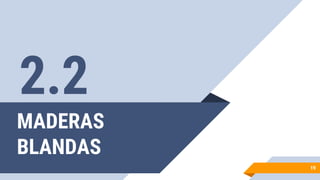 MADERAS
BLANDAS
19
2.2
 