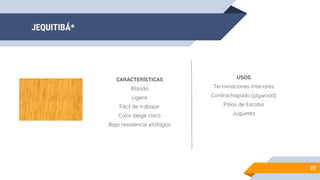 JEQUITIBÁ*
23
CARACTERÍSTICAS
Blanda
Ligera
Fácil de trabajar
Color beige claro
Baja resistencia xilófagos
USOS
Terminaciones Interiores
Contrachapado (plywood)
Palos de Escoba
Juguetes
 