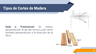 Tipos de Cortes de Madera
Axial o Transversal: Se realiza
perpendicular al eje del tronco y por tanto
también perpendicular a la dirección de la
fibra.
28
 