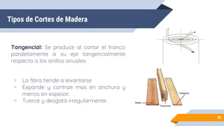 Tipos de Cortes de Madera
Tangencial: Se produce al cortar el tronco
paralelamente a su eje tangencialmente
respecto a los anillos anuales.
▰ La fibra tiende a levantarse
▰ Expande y contrae mas en anchura y
menos en espesor.
▰ Tuerce y desgata irregularmente.
30
 