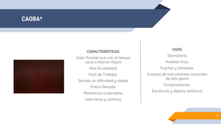 CAOBA*
7
CARACTERÍSTICAS
Color Rosado que con el tiempo
varía a Marrón Rojizo
Alta Durabilidad
Fácil de Trabajar
Secado sin dificultad y rápido
Precio Elevado
Resistencia a parásitos
Veta recta y continua
USOS
Ebanistería
Muebles finos
Puertas y Ventanas
Cuerpos de instrumentos musicales
de alta gama
Embarcaciones
Esculturas y objetos artísticos
 