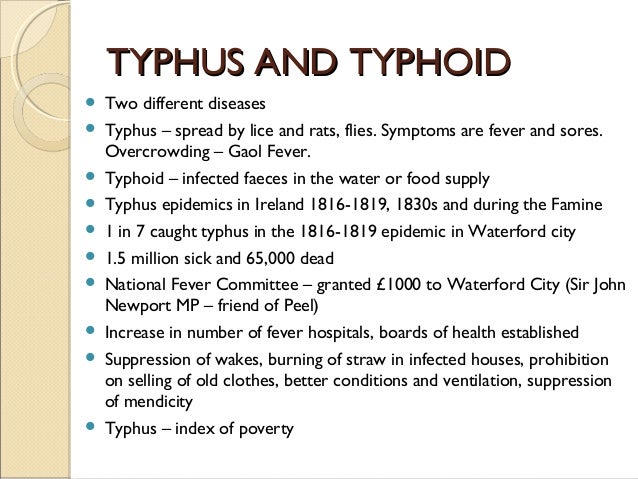 typhus fever