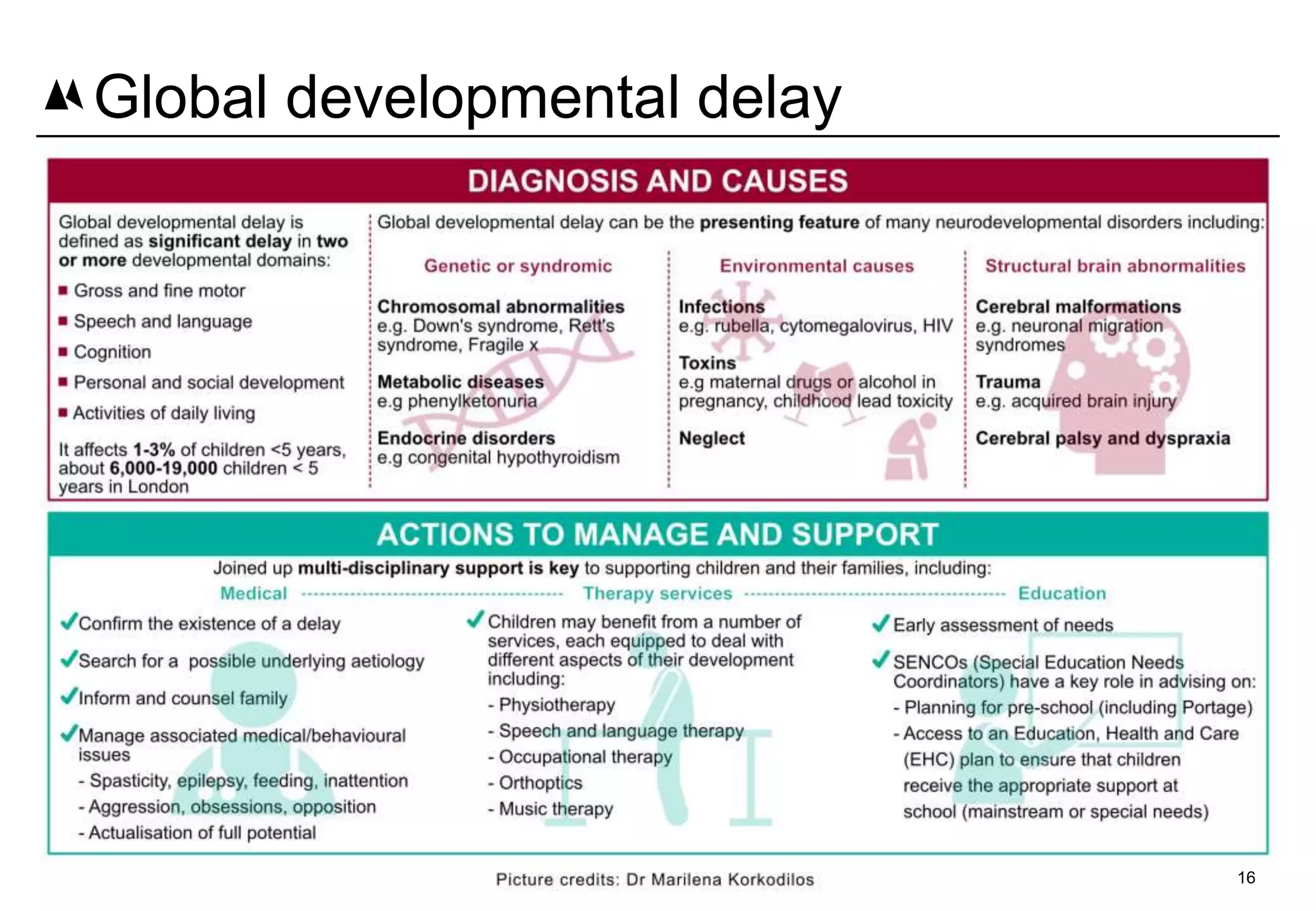 16
Global developmental delay
 