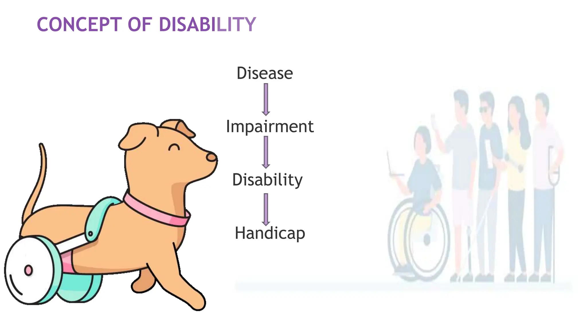 CONCEPT OF DISABILITY
Disease
Impairment
Disability
Handicap
 