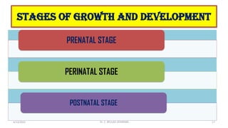 stages of growth and development
PRENATAL STAGE
PERINATAL STAGE
POSTNATAL STAGE
4/13/2022 17
Dr. C. BEULAH JAYARANIi
 