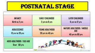 INFANCY
Birth to 2 yrs
EARLY CHILDHOOD
2 yrs to 6 yrs
LATER CHILDHOOD
6 yrs to 12 yrs
ADOLESCENCE
13 yrs to 20 yrs
YOUNG ADULTHOOD
20 yrs to 40 yrs
MATURE ADULTHOOD / MIDDLE
AGE
40 yrs to 60 yrs
AGED ADULTHOOD / OLD AGE
Over 60 yrs
postnatal stage
25
 