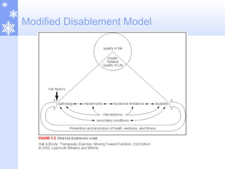 Modified Disablement Model
 