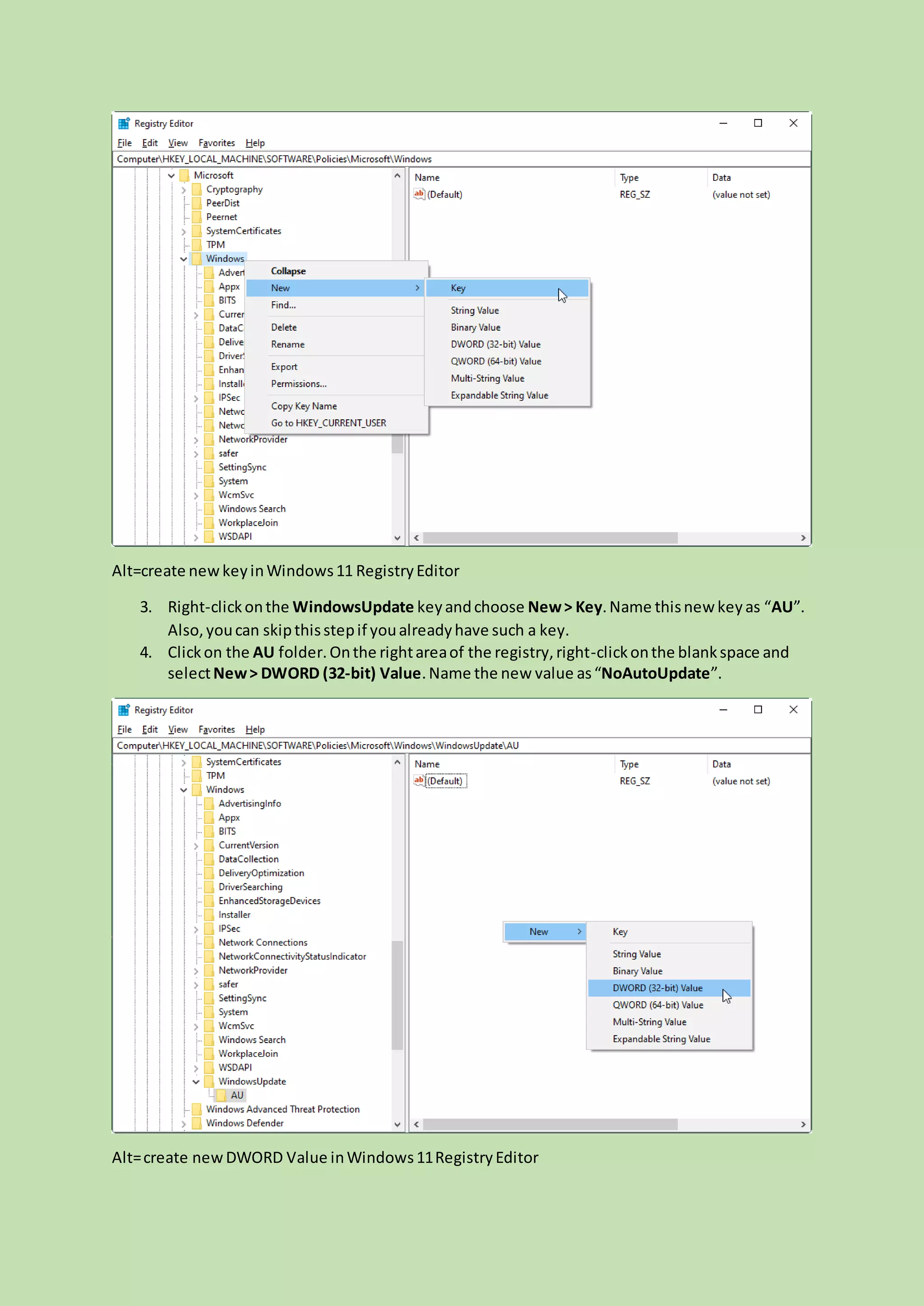 Alt=create newkeyinWindows11 RegistryEditor
3. Right-clickonthe WindowsUpdate keyandchoose New> Key.Name thisnew keyas “AU”.
Also,youcan skipthisstepif youalreadyhave such a key.
4. Clickon the AU folder.Onthe rightareaof the registry,right-clickonthe blankspace and
selectNew> DWORD (32-bit) Value.Name the new value as“NoAutoUpdate”.
Alt=create newDWORD Value inWindows11RegistryEditor
 