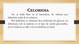CELOBIOSA
No se halla libre en la naturaleza. Se obtiene por
hidrolisis acida de la celulosa.
Por hidrolisis se obtienen dos moléculas de glucosa. La
diferencia con la maltosa es el tipo de unión glucosidica.
(en la maltosa es alfa y en la celobiosa es beta)
 