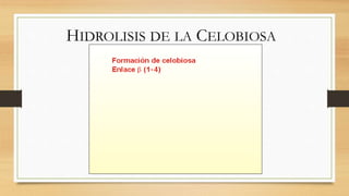 HIDROLISIS DE LA CELOBIOSA
 