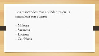 Los disacáridos mas abundantes en la
naturaleza son cuatro:
- Maltosa
- Sacarosa
- Lactosa
- Celobiosa
 