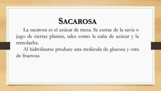 SACAROSA
La sacarosa es el azúcar de mesa. Se extrae de la savia o
jugo de ciertas plantas, tales como la caña de azúcar y la
remolacha.
Al hidrolizarse produce una molécula de glucosa y otra
de fructosa
 