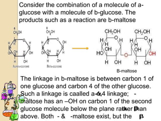 Consider the combination of a molecule of a-
glucose with a molecule of b-glucose. The
products such as a reaction are b-maltose




                                  B-maltose
The linkage in b-maltose is between carbon 1 of
one glucose and carbon 4 of the other glucose.
Such a linkage is caalled a-1,4 linkage; -
maltose has an –OH on carbon 1 of the second
glucose molecule below the plane rather than
above. Both - & -maltose exist, but the
 