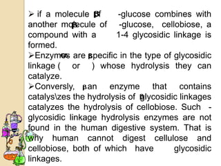  if a molecule of      -glucose combines with
another molecule of -glucose, cellobiose, a
compound with a        1-4 glycosidic linkage is
formed.
Enzymes are specific in the type of glycosidic
linkage ( or ) whose hydrolysis they can
catalyze.
Conversly, an enzyme that contains
catalyszes the hydrolysis of glycosidic linkages
catalyzes the hydrolysis of cellobiose. Such -
glycosidic linkage hydrolysis enzymes are not
found in the human digestive system. That is
why human cannot digest cellulose and
cellobiose, both of which have         glycosidic
linkages.
 