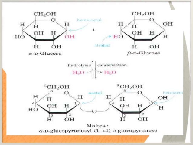 Disaccharides and their role in health and their structure Disaccharides and their role in health and their structure