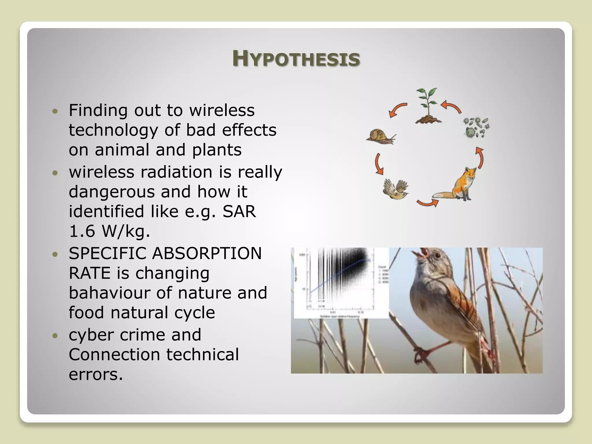 Dis advantages of computer network ppt