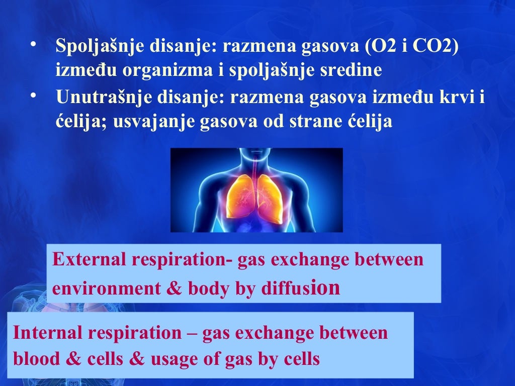 Sistem organa za disanje-kičmenjaci