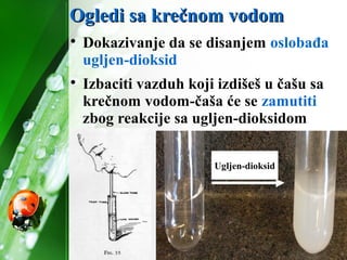 Ogledi sa krečnom vodomOgledi sa krečnom vodom

Dokazivanje da se disanjem oslobađa
ugljen-dioksid

Izbaciti vazduh koji izdišeš u čašu sa
krečnom vodom-čaša će se zamutiti
zbog reakcije sa ugljen-dioksidom
Ugljen-dioksid
 