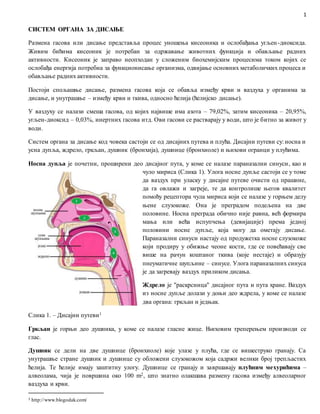 Дисање 27.3.2020. | PDF