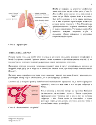 Дисање 27.3.2020. | PDF