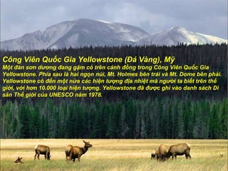 Công Viên Quốc Gia Yellowstone (Đá Vàng), Mỹ Một  đà n s ơ n d ươ ng  đ ang gặm cỏ trên cánh  đồng  trong Công Viên Quốc Gia Yellowstone. Phía sau là hai ngọn núi, Mt. Holmes bên trái và Mt. Dome bên phải. Yellowstone có  đế n một nửa các hiện t ượ ng  đị a nhiệt mà ng ườ i ta biết trên thế giới, với h ơ n 10.000 loại hiện t ượ ng. Yellowstone  đã   đượ c ghi vào danh sách Di sản Thế giới của UNESCO n ă m 1978. 