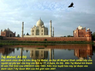 Taj Mahal, Ấn Đ ộ Một cánh chim  đơ n lẻ trên l ă ng Taj Mahal, do Đại đ ế  Mug h al   Shah Jahan xây cho ng ườ i vợ yêu quí của ông vào thế kỷ 17,  ở  Agra, Ấn Độ.  Đền Taj Mahal tr ở  thành Di sản Thế Gi ớ i của UNESCO n ă m 1983. Kiến trúc tuyệt hảo này lại đ ược  vào danh sách 7 Kỳ Quan Mới của thế giới  năm 2 007. 