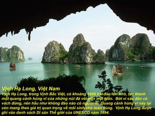 Vịnh Hạ Long, Việt Nam Vịnh Hạ Long, trong Vịnh Bắc Việt, có khoảng 1600 hải đảo lớn nhỏ, tạo thành một quang cảnh hùng vĩ của những núi đá vôi trên mặt biển.  Bởi vì các đảo có vách đứng, nên hầu như không đảo nào có người ở.  Quang cảnh hùng vĩ này lại còn mang theo giá trị quan trọng về môi sinh cho toàn vùng.  Vịnh Hạ Long  đượ c ghi vào danh sách Di sản Thế gi ớ i của UNESCO n ă m 1994. 