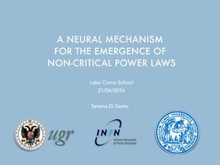 A NEURAL MECHANISM
FOR THE EMERGENCE OF
NON-CRITICAL POWER LAWS
Serena Di Santo
21/06/2016
Lake Como School
 