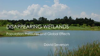 DISAPPEARING WETLANDS 
Population Pressures and Global Effects 
David Severson 
 