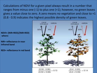 Calculations of NDVI for a given pixel always result in a number that 
ranges from minus one (-1) to plus one (+1); however, no green leaves 
gives a value close to zero. A zero means no vegetation and close to +1 
(0.8 - 0.9) indicates the highest possible density of green leaves. 
NDVI= (NIR+RED)/(NIR-RED) 
where: 
NIR= reflectance in near 
infrared band 
RED= reflectance in red band 
 